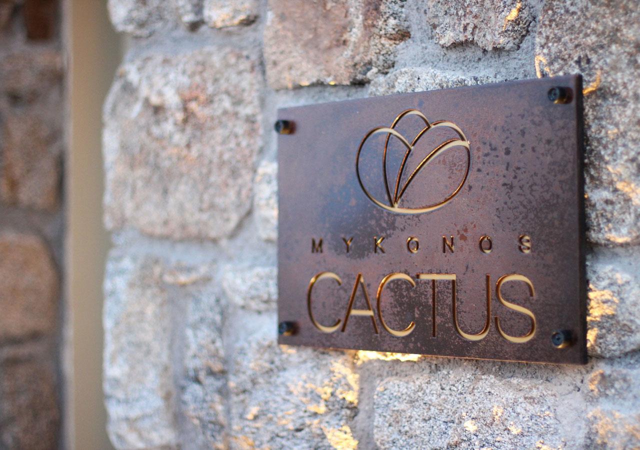 Mykonos Cactus Hotel Ornos  Buitenkant foto
